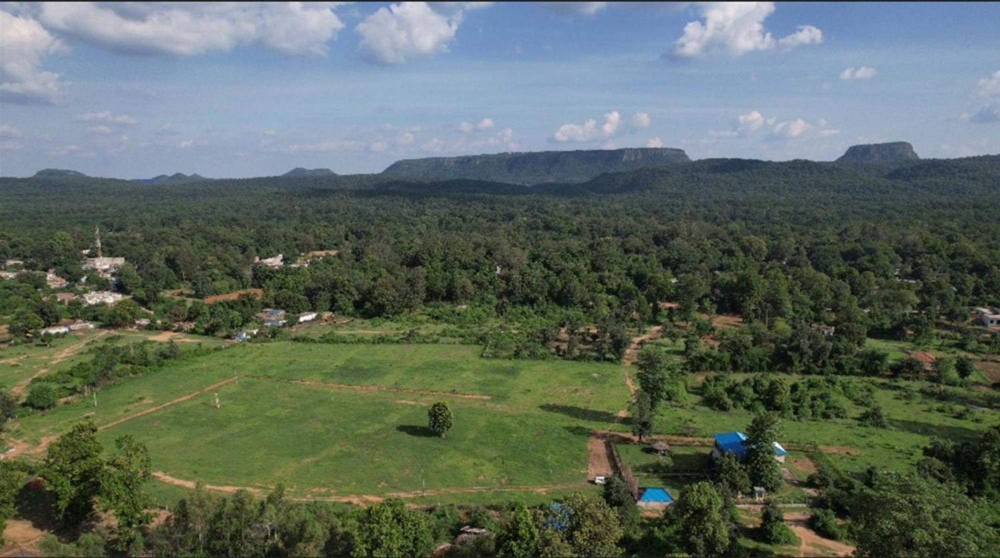 Jewel Of Jungle Apartment Tala  Ngoại thất bức ảnh